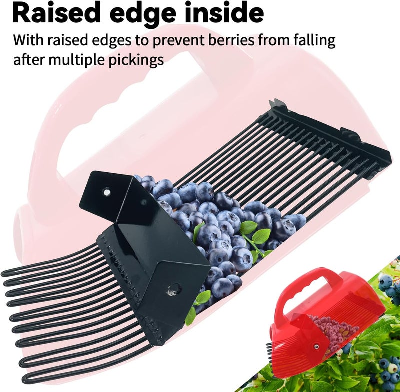 SUGOOE 2 Pack Blueberry Picker with Metallic Comb and Ergonomic Metal Handle, Plastic Scoop for Blueberries Lingonberries Huckleberries (Red) - Image 3